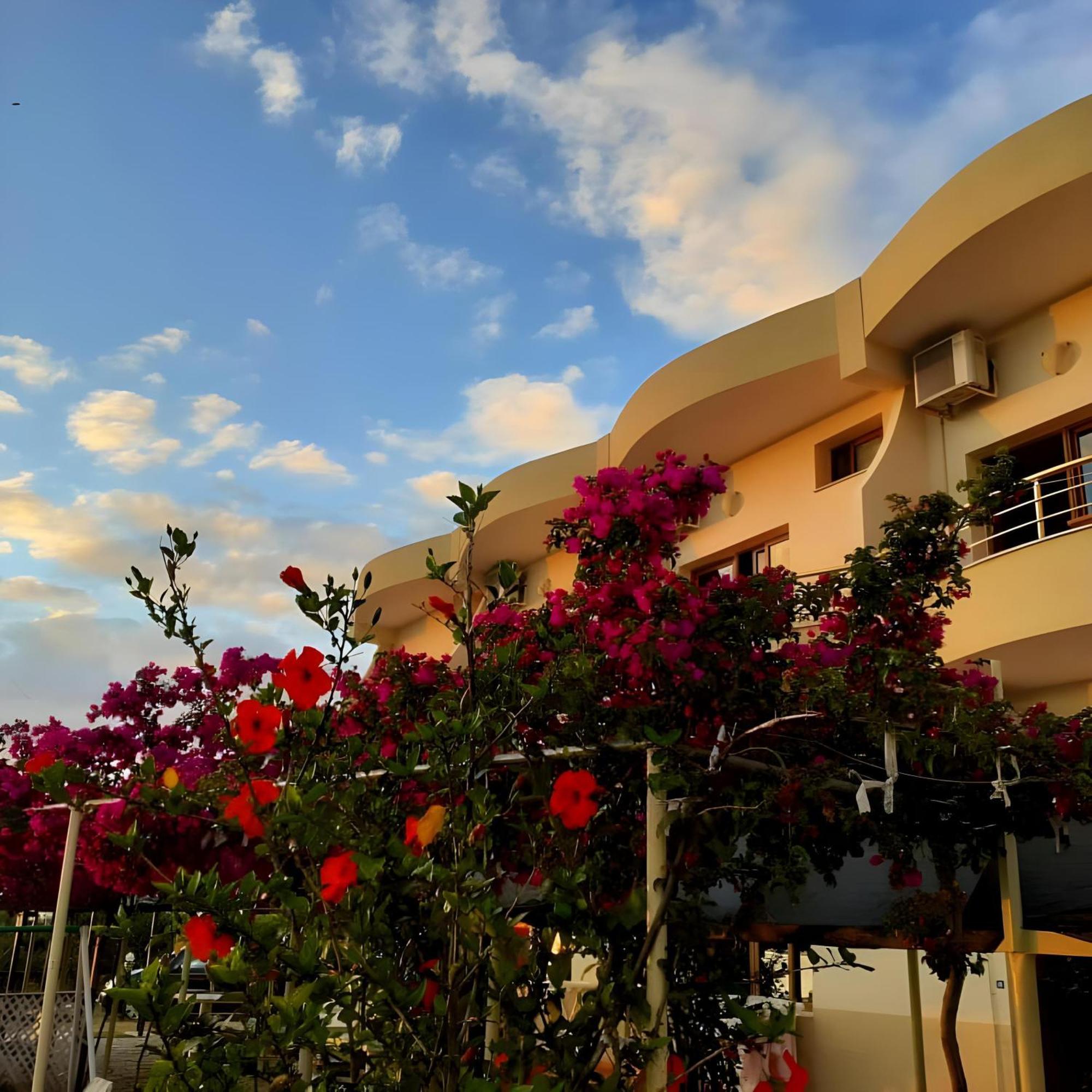 Hotel Sirena Radhimë Exterior foto